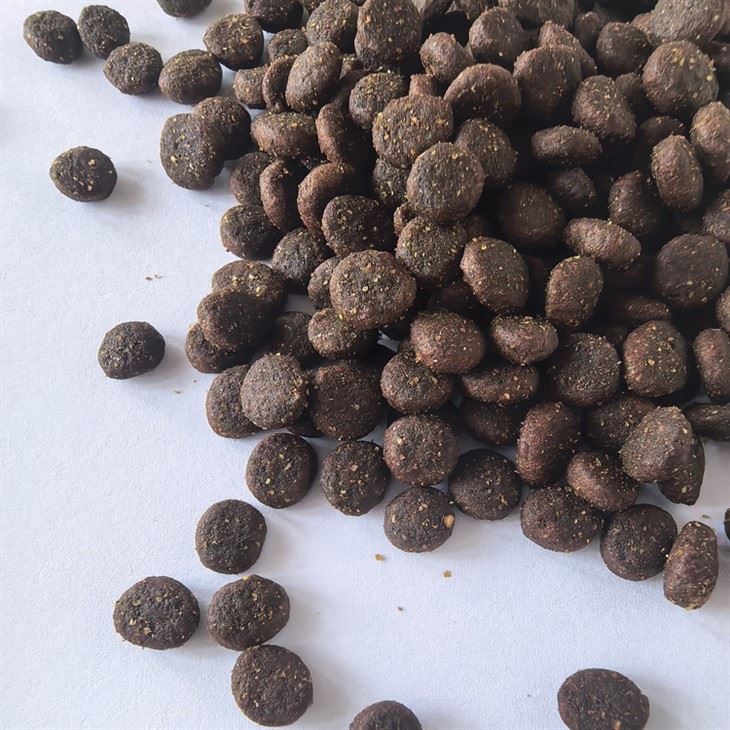 High Protein Cat Food